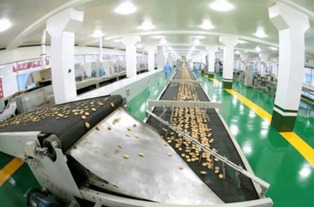 金正恩视察平壤食品工厂 夸赞国产设备像美男子