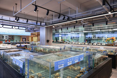 五星级酒店自助餐区图片素材下载 食品餐饮素材下的中国菜系图片素材