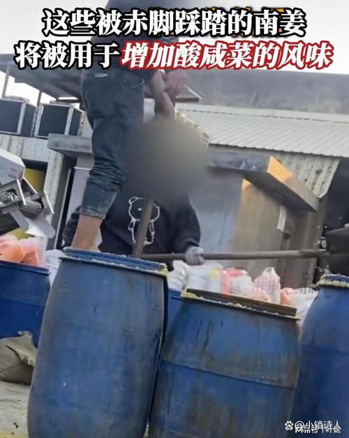 腌菜厂再现脚踩腌菜,食品安全问题频发,只在315这天才曝光